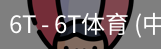 6T体育